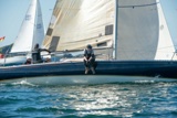 avila ber8 whyw22 sun 800_2019yi